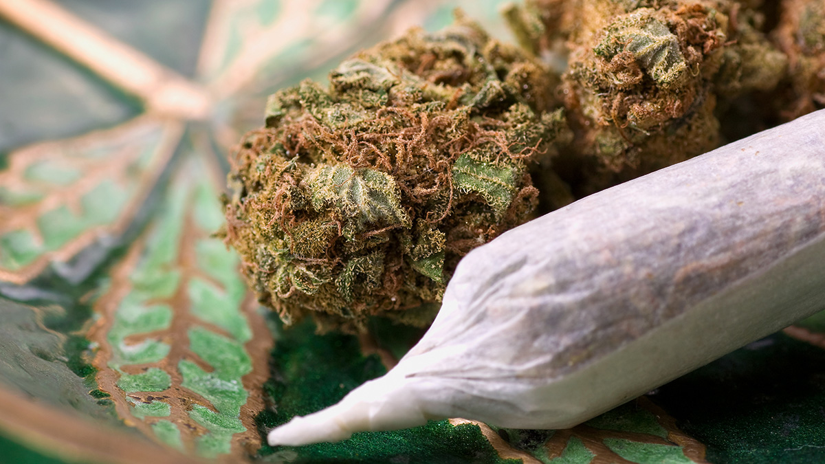 
                    wichita kansas marijuana cannabis weed possession